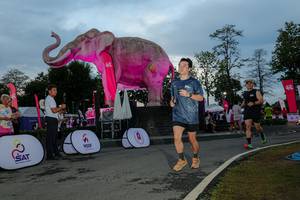 BIB: 
                            <button type="button" onclick="openModal(26529479)" class="btn btn-primary btn-sm float-right btn-popup" data-toggle="modal" data-target=".modal-high-quality">
                        <i class="fas fa-shopping-cart"></i> Add to Cart
                    </button>
                                            <button type="button" onclick="isThisMe(26529479, true)" class="btn btn-success btn-sm float-right btn-popup btn-isme hidden" data-toggle="tooltip" data-placement="bottom" title="นี่คือรูปของคุณใช่ไหม คลิกที่นี่เพื่อเอาเข้าอัลบั้ม">
                        <i class="fas fa-plus"></i> Add to album
                    </button>
                    <button type="button" onclick="isThisMe(26529479, false)" class="btn btn-warning btn-sm float-right btn-popup btn-isnotme hidden">
                        <i class="fas fa-ban"></i> Remove from album
                    </button>